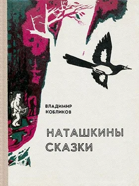 Владимир Кобликов Наташкины сказки обложка книги