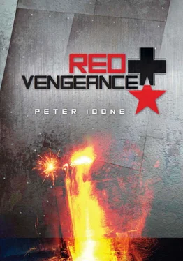 Peter Idone Red Vengeance обложка книги