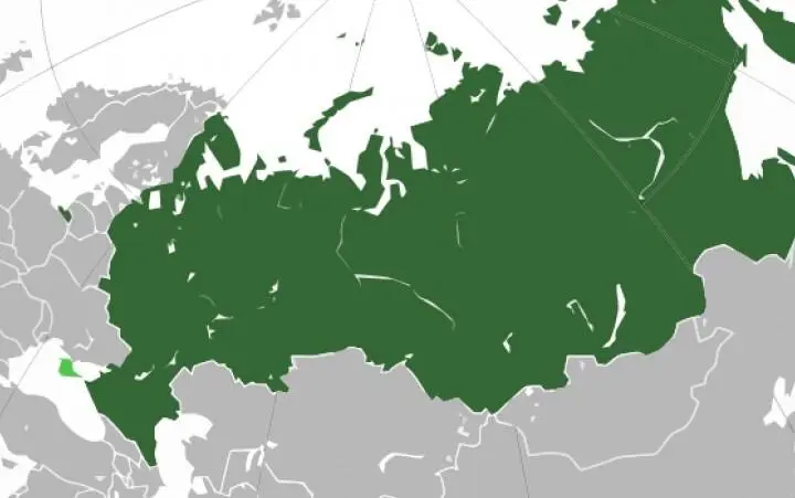 Теперь посмотрим другой пример У международного спрута Google есть отделение в - фото 10