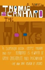 Thomas Bernhard - The Lime Works
