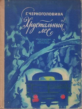 Галина Черноголовина Хрустальный лес обложка книги