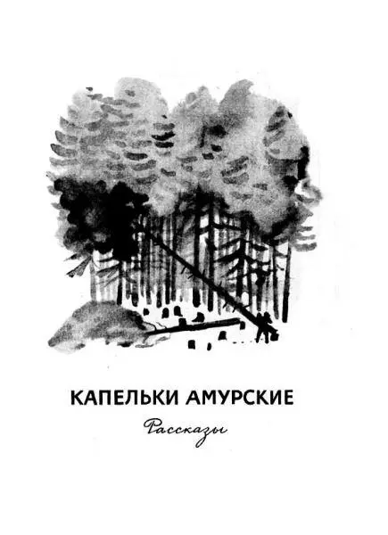 Капельки амурские Валю разбудил глухой скрежет и толчок Она испуганно - фото 2