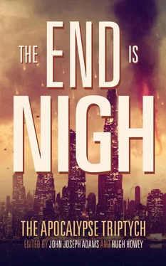 Нэнси Кресс The End Is Nigh обложка книги