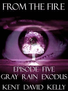 Kent Kelly Gray Rain Exodus обложка книги