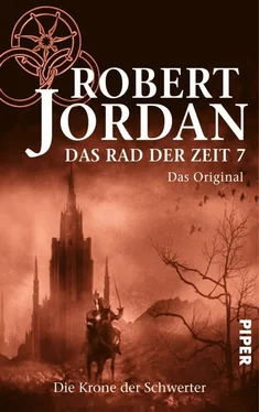 Robert Jordan Die Krone der Schwerter обложка книги