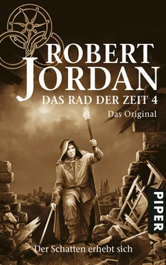 Robert Jordan Der Schatten erhebt sich обложка книги