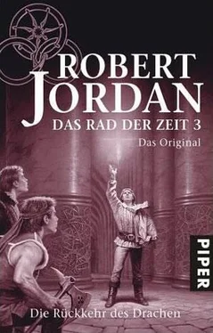 Robert Jordan Die Rückkehr des Drachen обложка книги