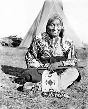 Белый Бык шайен Белый Бык Татанка Ска White Bull Tatanka Ska Сиу - фото 19