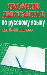 Михаил Филипченко - Сборник диктантов по русскому языку для 5-11 классов