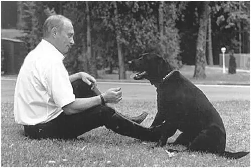 Putins appearances with his dog Koni are more frequent wwwkremlinru - фото 24