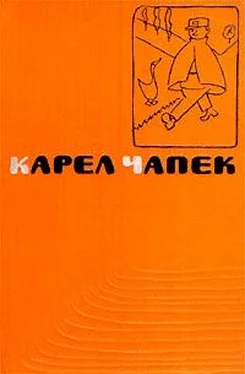 Карел Чапек С точки зрения кошки обложка книги