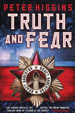 Peter Higgins Truth and Fear обложка книги