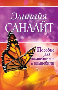 Элинайя Санлайт Пособие для волшебников и волшебниц обложка книги