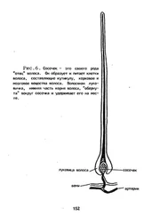 convertfileonline.com - _2014_03_29_21_52_14_983