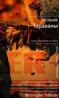 Ю Несбё Тараканы обложка книги