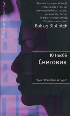 Ю Несбё Снеговик обложка книги