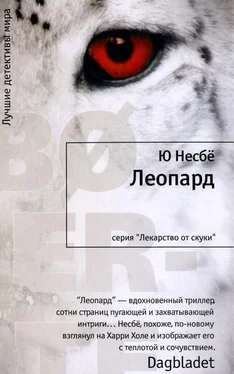 Ю Несбё Леопард обложка книги