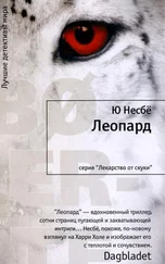 Ю Несбё - Леопард