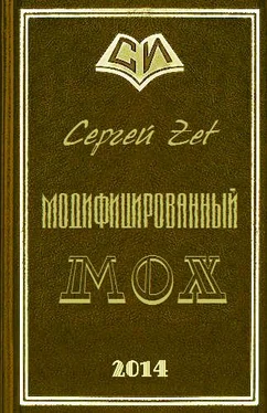 Сергей Zet Модифицированный. Мох обложка книги