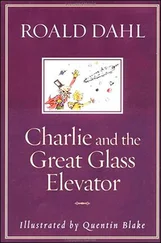 Roald Dahl - Charlie and the Great Glass Elevator