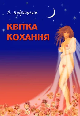 Валентин Кудрицкий Квітка кохання обложка книги