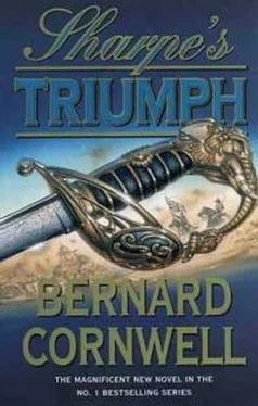 Bernard Cornwell Sharpe's Triumph обложка книги