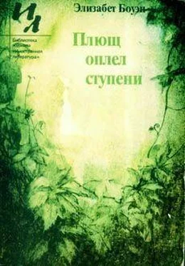 Элизабет Боуэн Очаг в квартире обложка книги