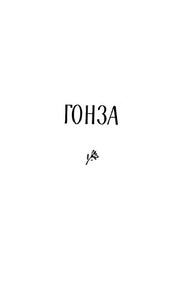 1 Колбочка вплыла в класс сопровождаемая Гамерником и Улисным они тащили на - фото 6