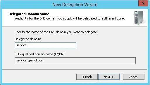 FIGURE 95Entering the name of the delegated domain sets the fully qualified - фото 145