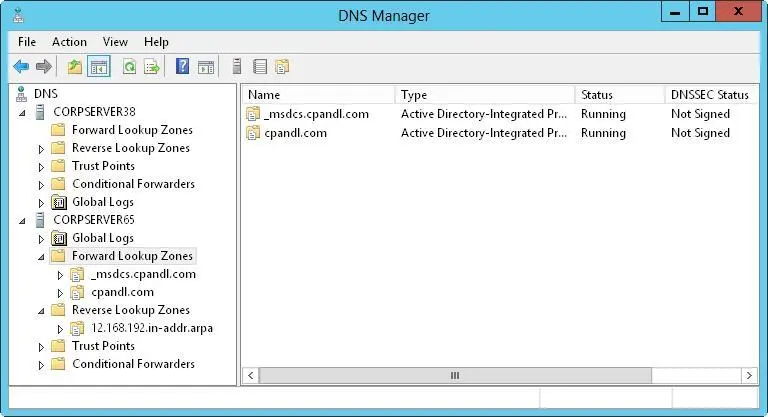 FIGURE 91Use the DNS Manager console to manage DNS servers on the network - фото 140
