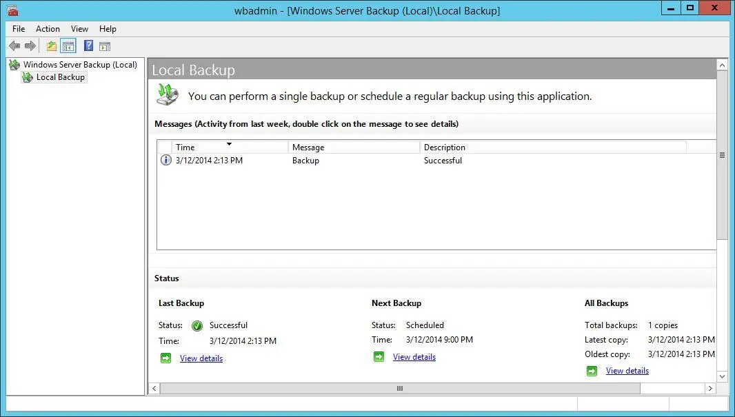 FIGURE 111Windows Server Backup provides a userfriendly interface for backup - фото 177