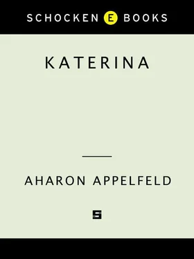 Aharon Appelfeld Katerina обложка книги