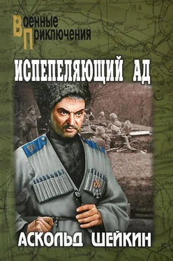 Аскольд Шейкин Испепеляющий ад обложка книги