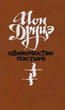 Ион Друцэ Одиночество пастыря обложка книги