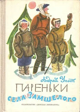 Андрей Упит Пареньки села Замшелого обложка книги