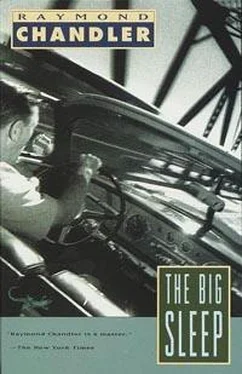 Raymond Chandler The Big Sleep обложка книги