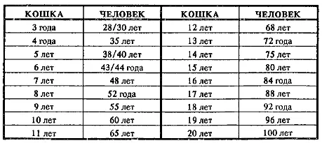 Глава втораяКак прикажете вас понимать Что нравится кошкам в людях которые - фото 3