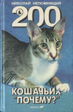 Николай Непомнящий 200 Кошачьих Почему? обложка книги