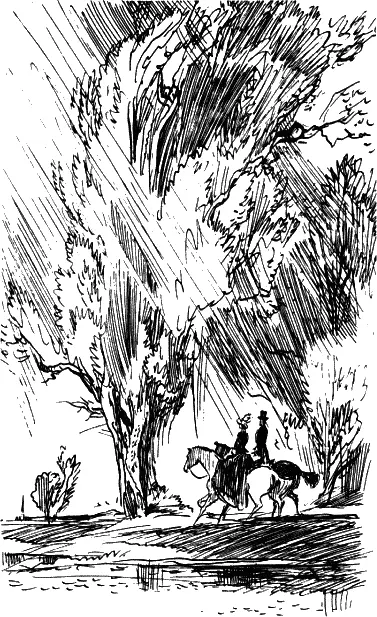 Проезжая под нависшими ветвями деревьев на своей серой в яблоках лошади - фото 5