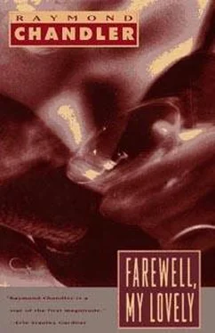 Raymond Chandler Farewell, My Lovely обложка книги