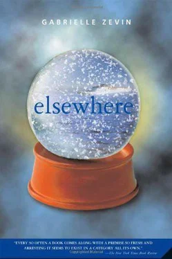 Gabrielle Zevin Elsewhere обложка книги