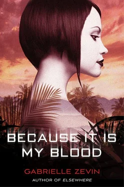 Gabrielle Zevin Because It Is My Blood обложка книги