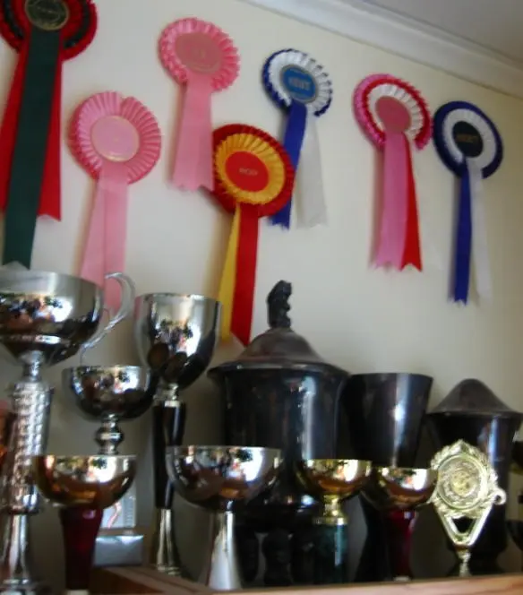 Переводчик подошел к книжному шкафу и показал нам большой кубок Эту самую - фото 25