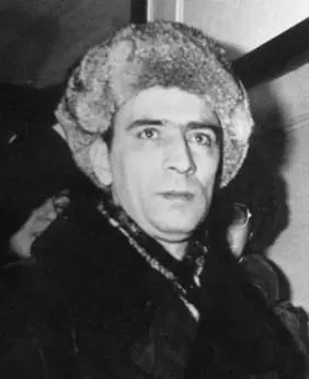 Л Плющ Вена 10 января 1976 г Советская пресса на это событие отреагировала - фото 54