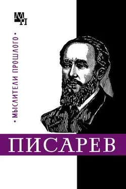 Нина Демидова Писарев обложка книги