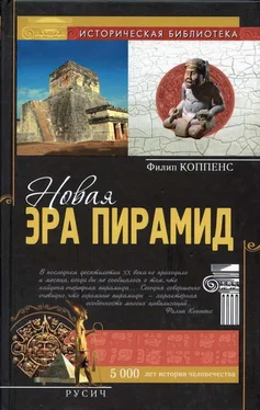 Филип Коппенс Новая эра пирамид обложка книги