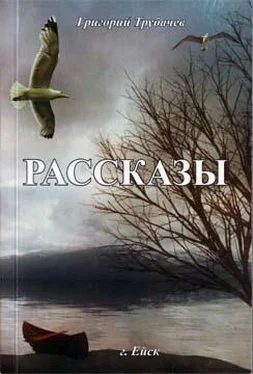 Григорий Трубачев Рассказы обложка книги