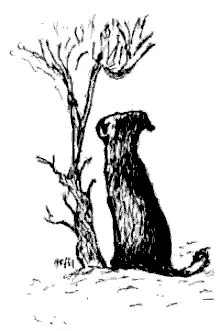 Два Ивана Иван Васильевич всю свою сознательную жизнь мечтал пробиться в - фото 7