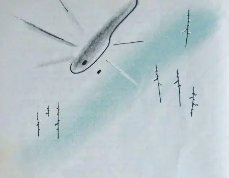 Никак не может без фокусов счастливо сказал Иванов и погрозил вслед - фото 15