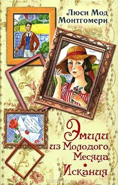 Люси Монтгомери Эмили из Молодого Месяца. Искания обложка книги